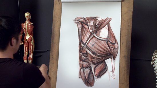 Anatomy Workshop Volume 5 Thumbnail