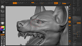 Dynamic Animal Sculpting