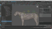 Creating a Quadruped Rig For Production