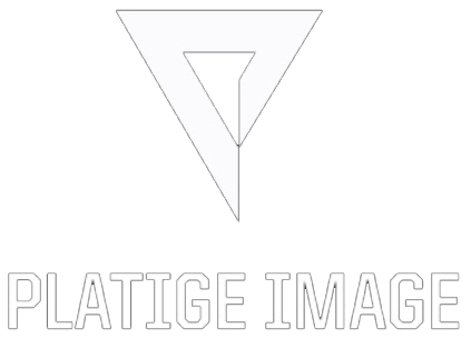 Platige Image